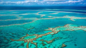 The One That Brings You the Best of Queensland: From the Whitsundays to the Great Barrier Reef