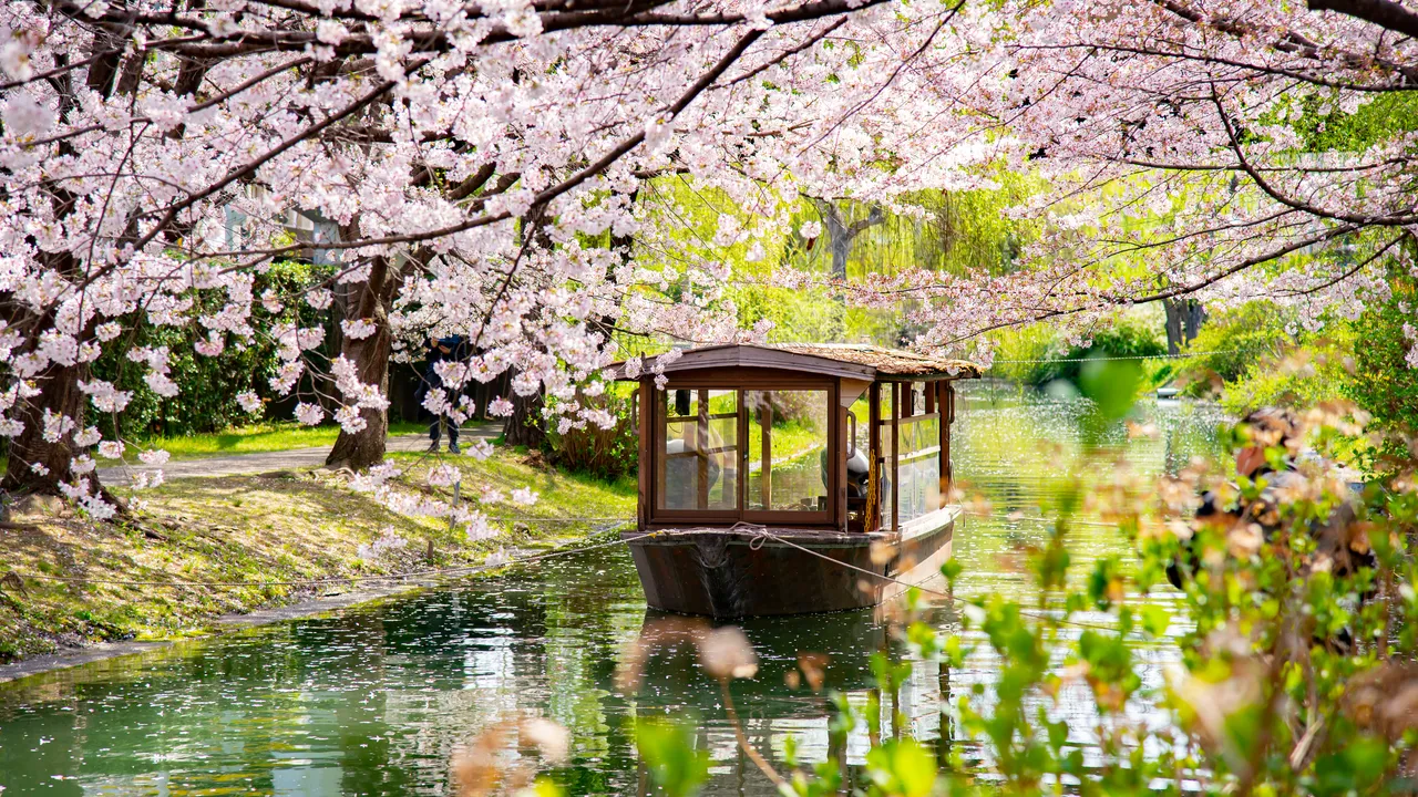 10 Days in Japan: The Ultimate 2025 Itinerary for Cities, Hot Springs, and Mountains