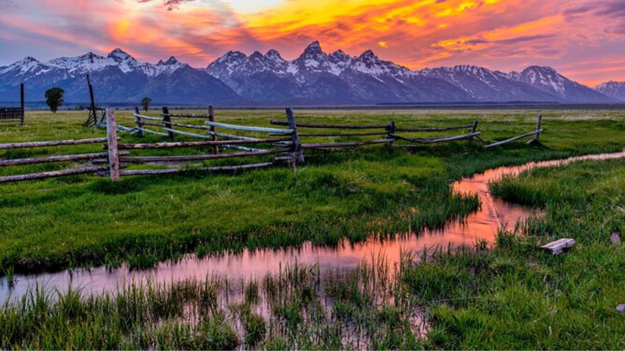 A Family Guide to Visiting Yellowstone and Grand Teton National Parks in 2025: Unforgettable Adventures in Wyoming’s Wilderness