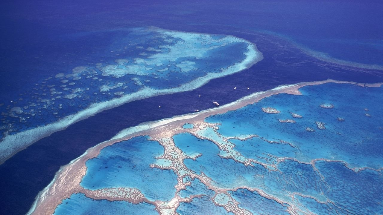 Exploring the Great Barrier Reef: A Journey into Nature’s Masterpiece